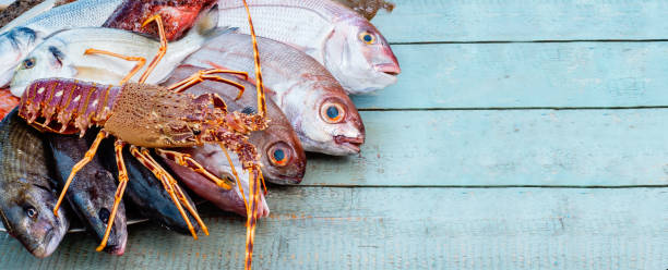 Mediterranean fresh fish on blue wooden table stock photo