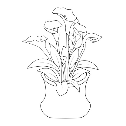 flower pot line art design of coloring book page illustration