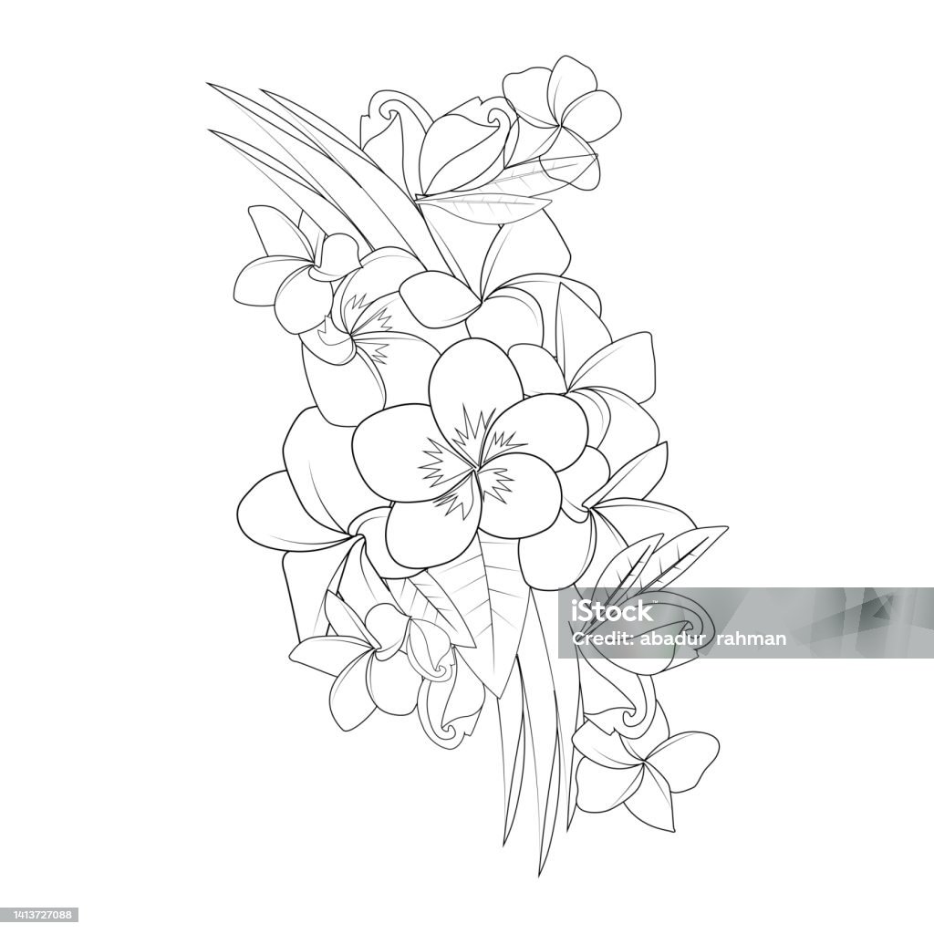 Plumeria Flower Doodle Coloring Page Outline Vector Illustration Of ...