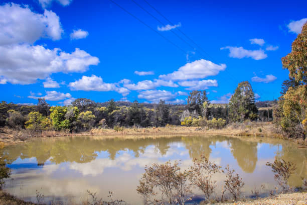 istock Water Pond in Bushland 1413731183
