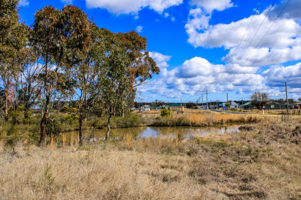 istock Water Pond in Bushland 1413731187