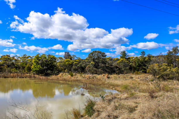 istock Water Pond in Bushland 1413731194