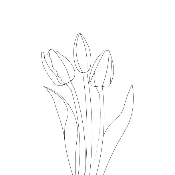 Vector illustration of tulip line art flower coloring page design for printing template continuous black stroke