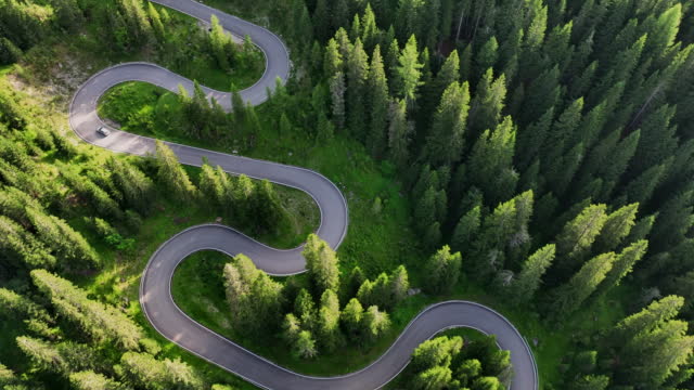 Aerial top down view on the mountains road in the forest of dolomites national park