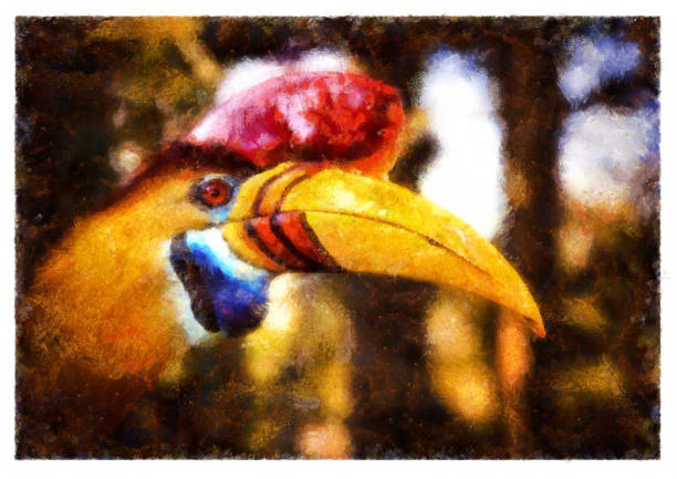 빨간 손잡이 혼빌 - 디지털 사진 조작 - hornbill computer graphic multi colored nature stock illustrations