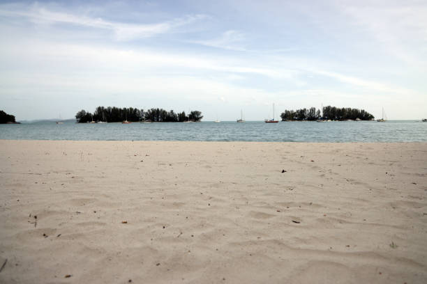 Yellow sandy sea beach blurry ocean background