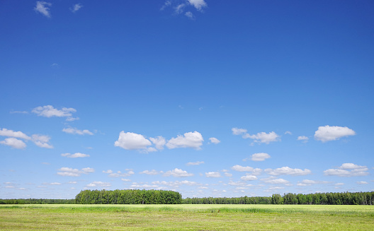 Blue sky and green meadow
