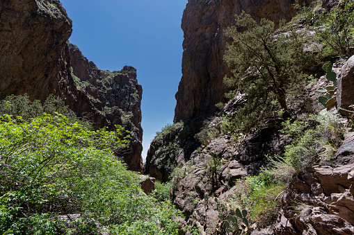 Looking down the chasm in lower Long Canyon