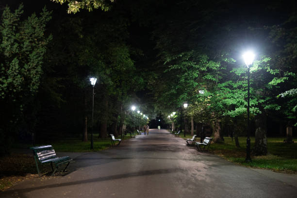 istock Alley in the Park 1413740495
