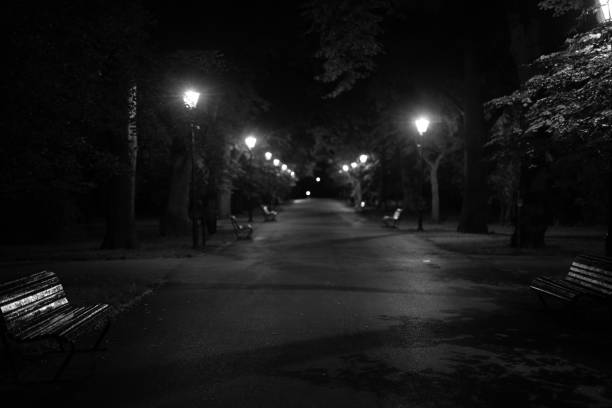 istock Alley in the Park, Black and white 1413740589