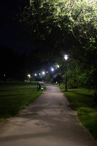 istock Alley in the Park 1413741084