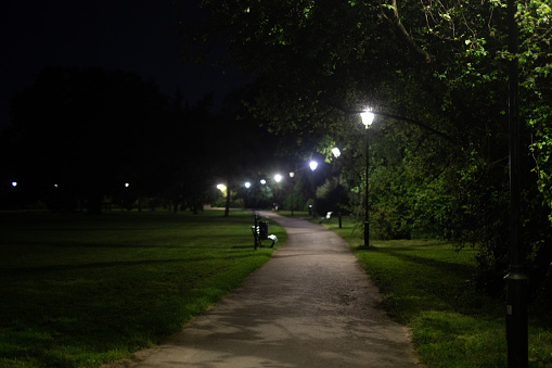 Cycle path in the night park. Lanterns illuminate the lawn, promenade and cycle path surrounded by trees.