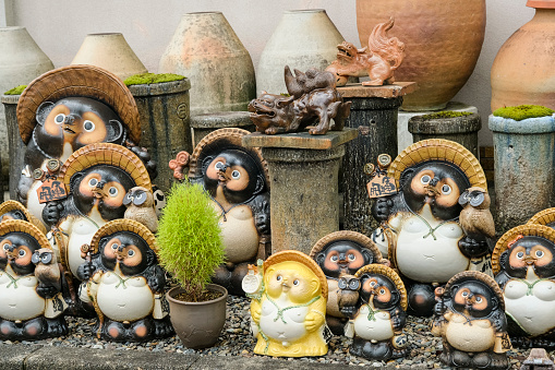 Raccoon figurines lined up in the town of Shigaraki