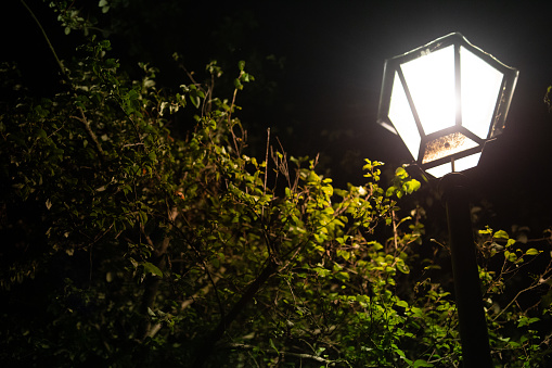 Leaves, Park,  Night, Lanterns. No people. Krakow. Poland