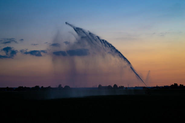 A sprinkler system is watering the dry land in the evening during a period of drought in The Netherlands.