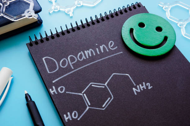 Dopamine chemical formula on the dark page. Dopamine chemical formula on a dark page. dopamine stock pictures, royalty-free photos & images