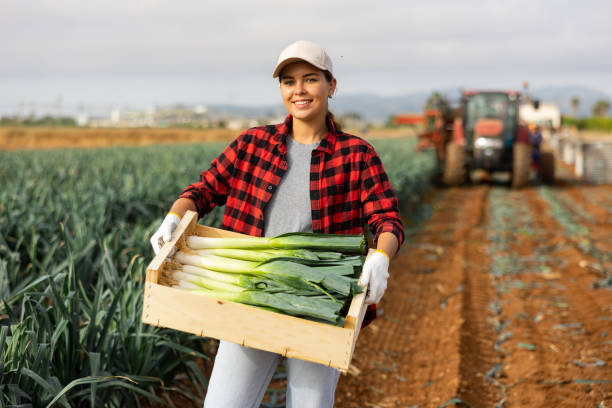 Woman posing with leek crop on field