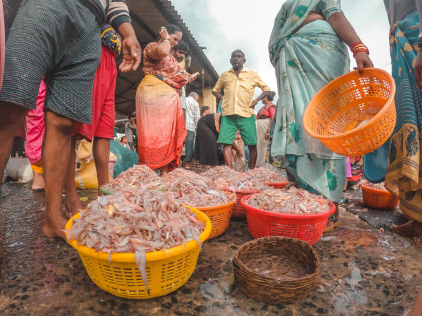 Crates filled with fish at Sassoon Dock, Colaba, Mumbai