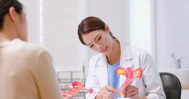 attractive young brunette ponytail female asian doctor wear white coat explaining uterus model to woman at clinic