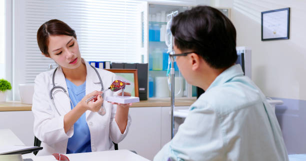 doctor explain liver model attractive young brunette ponytail female asian doctor wear white coat explaining liver model to male patient at clinic cirrhosis stock pictures, royalty-free photos & images