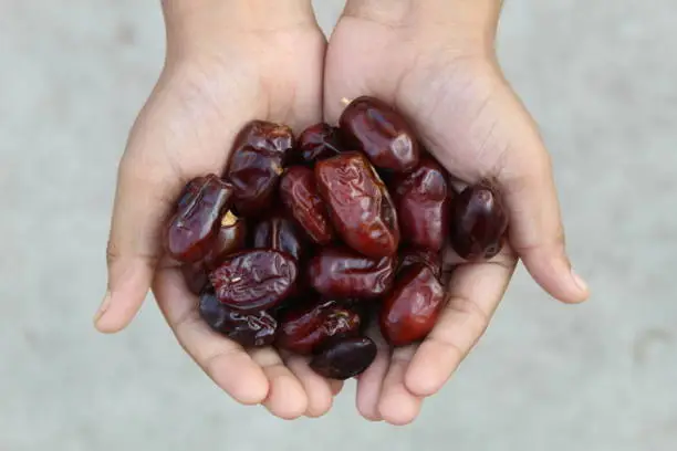 Hand full with dates, signifies a healthy diet