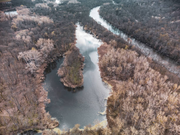 istock Look down aerial view on river in spring forest 1413756609