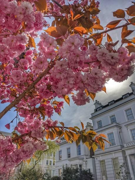 istock Notting Hill London 1413756909