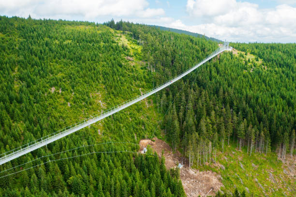 istock Sky Bridge 721 is the longest suspension bridge between two hills in the forest 1413761340