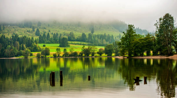 보힌 호수, 슬로베니아 - julian alps lake bohinj lake bohinj 뉴스 사진 이미지