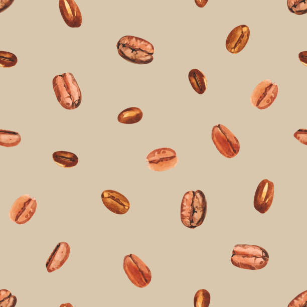 aquarell handbemalte kaffeebaumbohnen. kaffeepflanze. reifung von kaffeebeeren. - bean latté pattern frame stock-grafiken, -clipart, -cartoons und -symbole