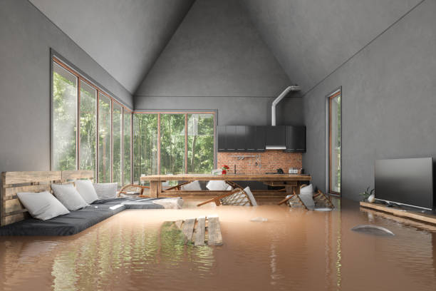 flooded tiny house with chairs and coffee table floating on water - home damage imagens e fotografias de stock