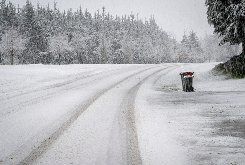 Two rubbish bins by the roadside in a heavy snow storm. South Island.