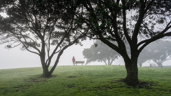 Woman standing by a bench in the fog among Pohutukawa trees. Milford beach, Auckland.