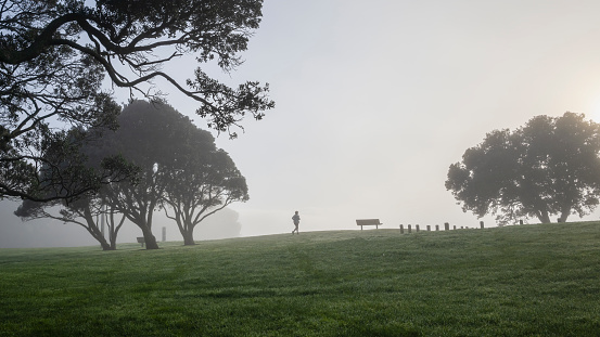 Woman running in the fog among Pohutukawa trees. Milford Beach reserve, Auckland.