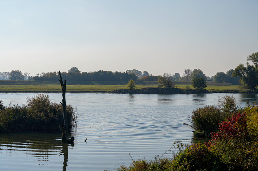 The Camargue was designated a Ramsar site as a \