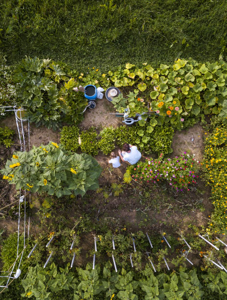 istock Mother and son in the garden 1413775574