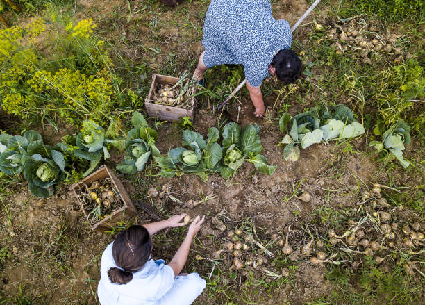 istock Two women working in the garden 1413775668