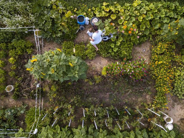 istock Mother and son in the garden 1413775803