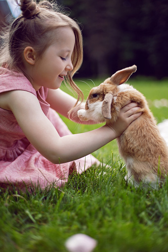 baby girl in a pink dress plays with a rabbit in a green meadow in summer. Funny friendship between a child and an animal during Easter
