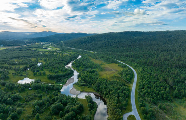 istock Swedish summer landscape in the mountains 1413780400