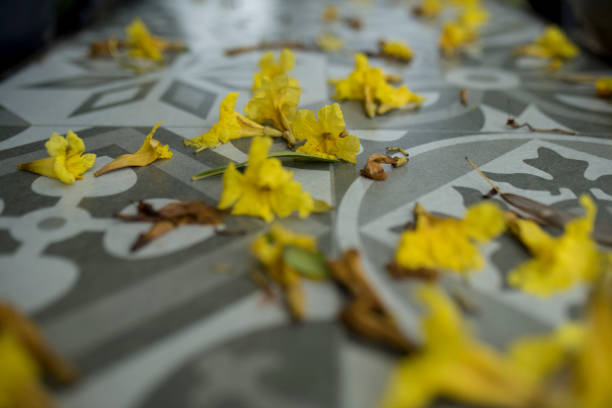 High Angle View Of Yellow Flower On Table