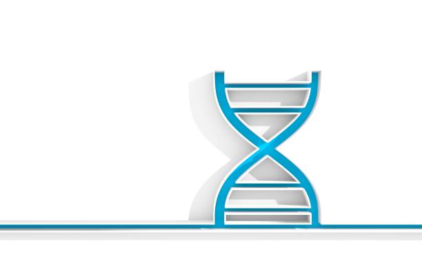 Biochemistry concept. thin line style DNA symbol. 3D rendering