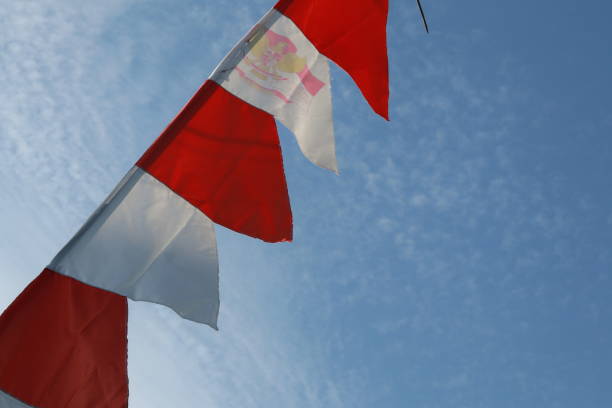 istock Indonesia's red and white flag 1413785138