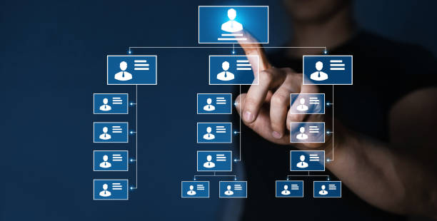 rapporti di ordine o subordinazione tra i membri.  struttura gerarchica aziendale dei team di lavoro in azienda con ceo, dirigenti e dipendenti. gestione delle risorse umane. - organization chart foto e immagini stock