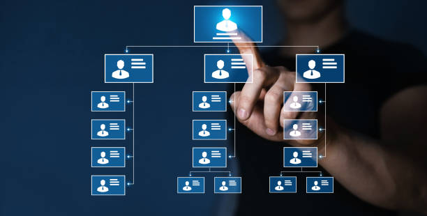 Relations of order or subordination between members.  Business hierarchy structure of workteams in corporation with CEO, executives and employees. Human Resources management. stock photo