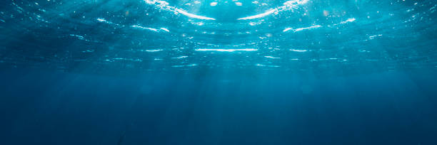 istock Underwater coral reef on the red sea 1413792382