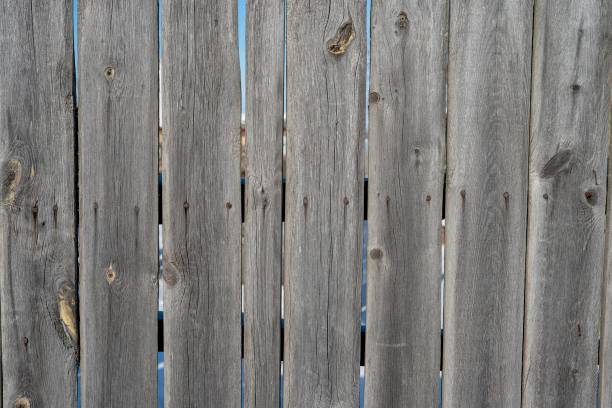 Texture background macro photo high quality