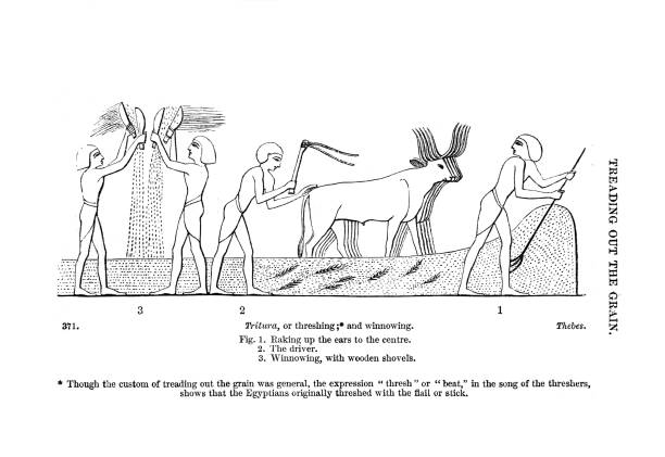 ;Taken from The Ancient Egyptians 1854
