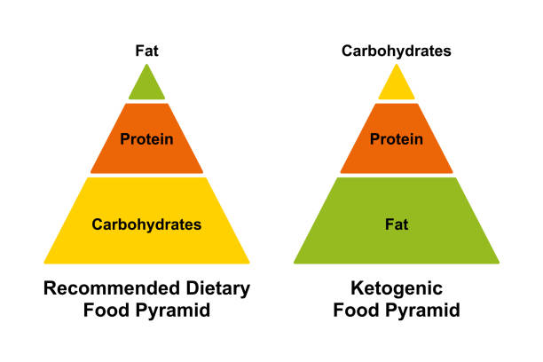 Recommended dietary food pyramid and ketogenic food pyramid, simplified chart Recommended dietary food pyramid and ketogenic food pyramid. Simplified chart of the different distribution of carbohydrates, protein and fat in a typical western diet and in a low carbohydrates diet. atkins diet stock illustrations