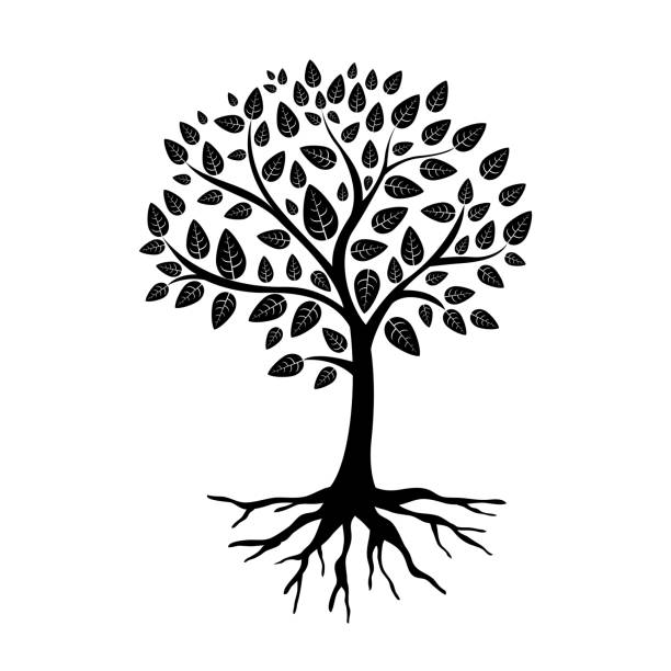 ilustraciones, imágenes clip art, dibujos animados e iconos de stock de icono de árbol con raíz. - base
